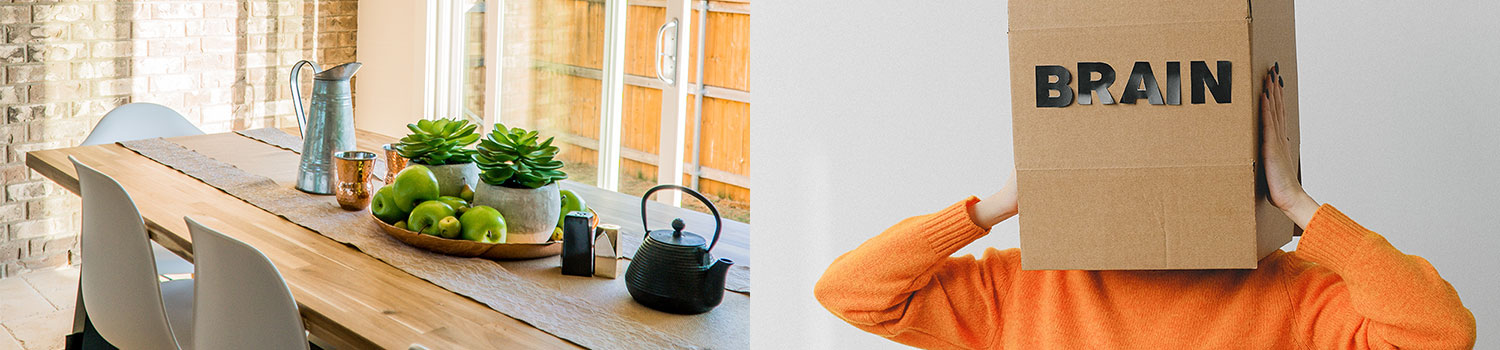 Knowledge in the head and world